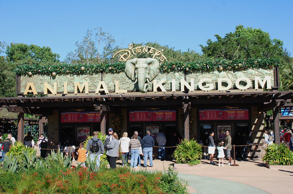 Disneys Animal Kingdom Theme Park